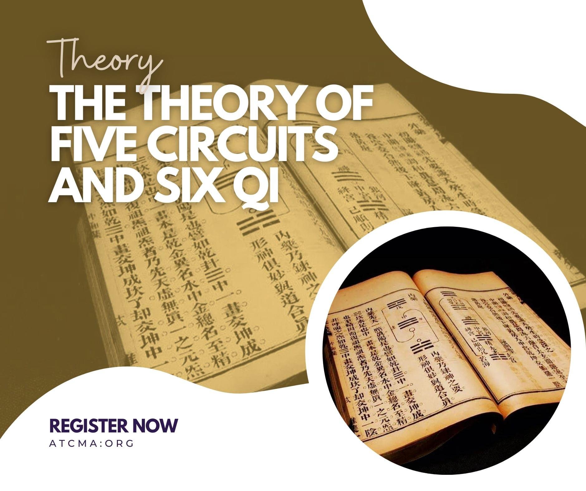 The Theory of Five Circuits and Six Qi